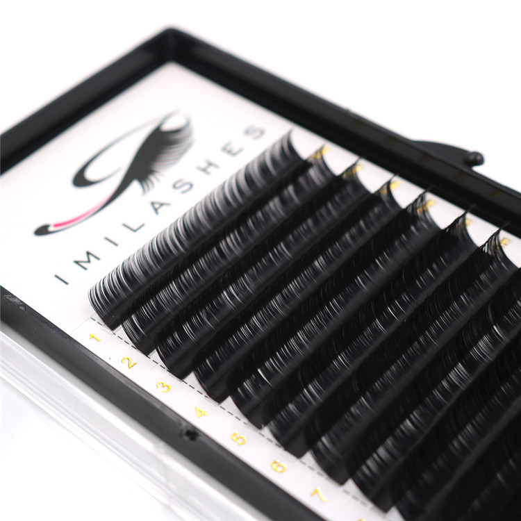 private label lash.JPG